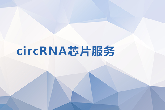 circRNA芯片服务