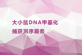 大小鼠DNA甲基化捕获测序服务